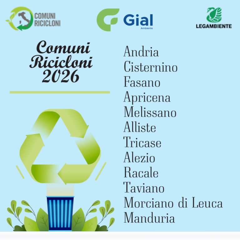 WhatsApp Image 2026-03-16 at 13.04.17